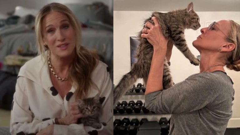 Atriz-Sarah-Jessica-Parker-adota-gato-Lotus-colega-de-trabalho.jpg