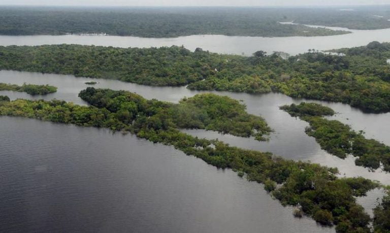 Posicao-do-Brasil-no-mundo-dependera-da-gestao-ambiental-diz.jpg