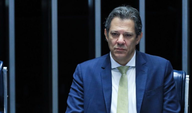 Haddad admite que "possível vitória de Milei na Argentina preocupa