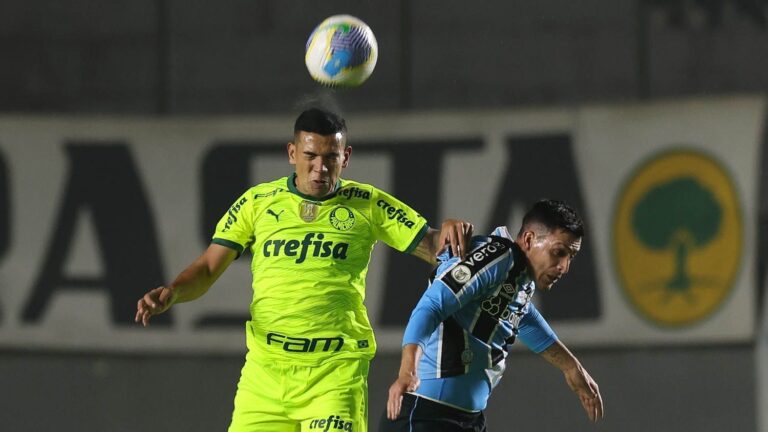 Grêmio e Palmeiras Empatam em 2 a 2 no Campeonato Brasileiro: Resultados e Classificação Atualizada - Cesar Greco/Palmeiras/by Canon