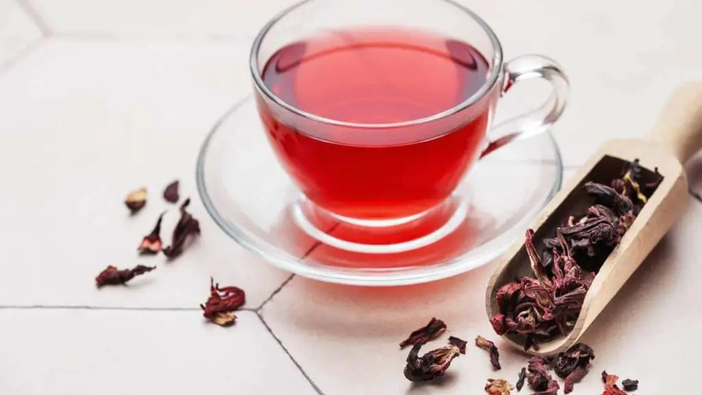 Hibisco: conheça os benefícios da planta para a saúde, beleza e dicas de cultivo