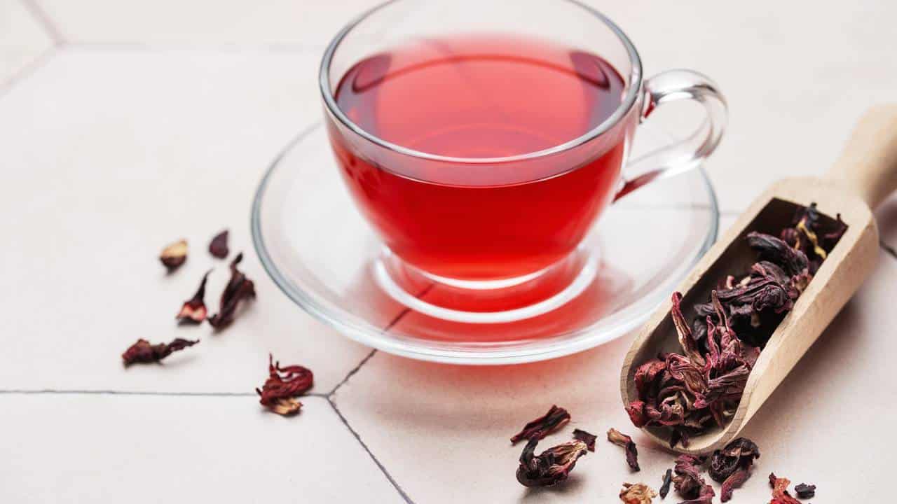 Hibisco: conheça os benefícios da planta para a saúde, beleza e dicas de cultivo