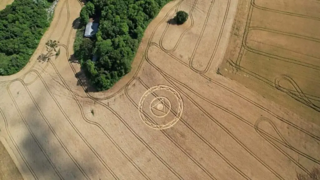 Novo agroglifo em Ipuaçu (SC) renova debate sobre origem dos desenhos em plantações