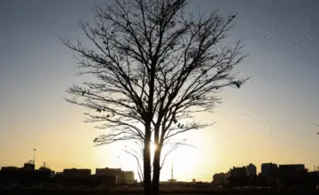 Planeta pode aquecer até 3°C até 2100 se emissões não forem reduzidas, aponta análise