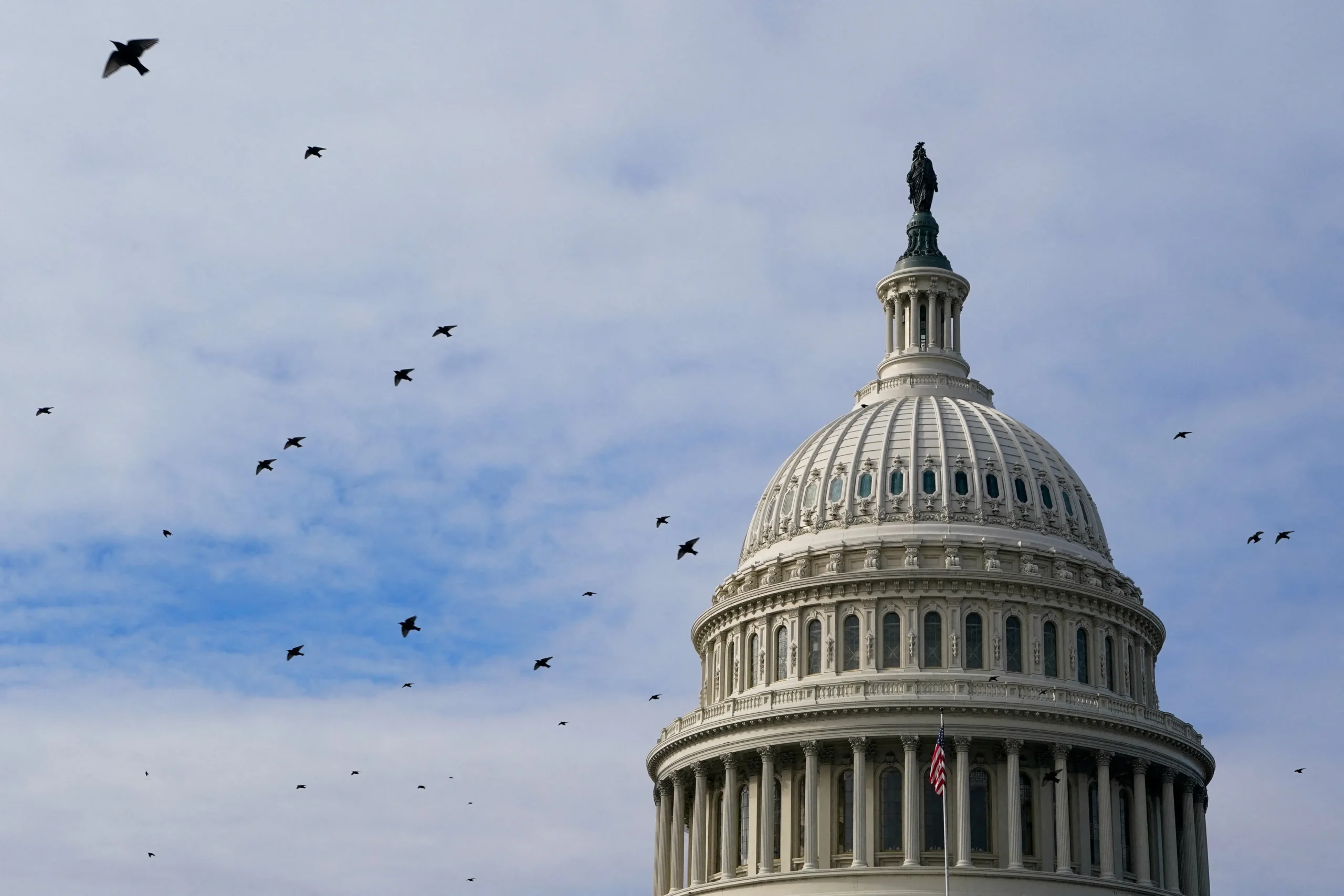 US Senate